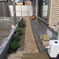 画像1693：ハウスクリーニング・定期清掃・日常清掃3