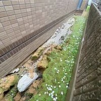 画像1705：ハウスクリーニング・定期清掃・日常清掃3