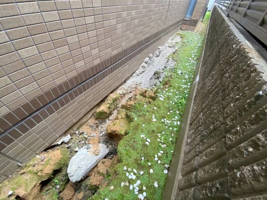 画像1705：ハウスクリーニング・定期清掃・日常清掃3