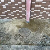 画像1721：ハウスクリーニング・定期清掃・日常清掃3