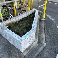 画像1750：ハウスクリーニング・定期清掃・日常清掃3